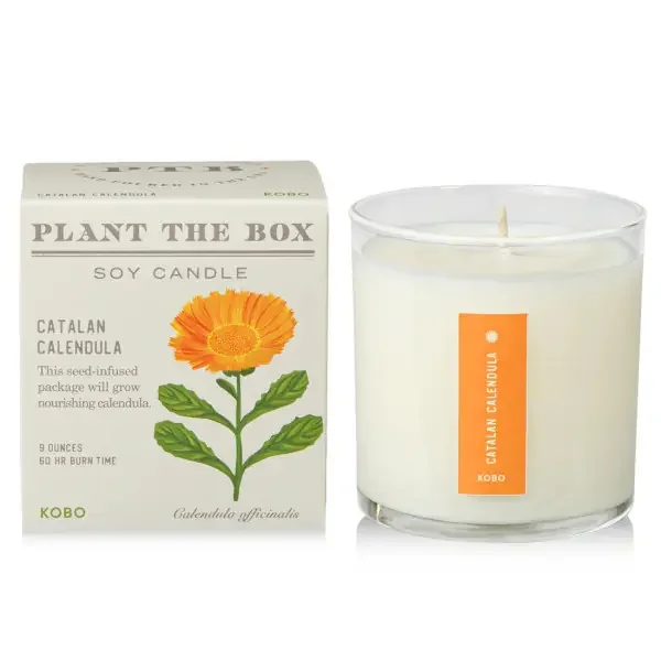 9OZ CANDLE PLANT CATAL CALENDULA