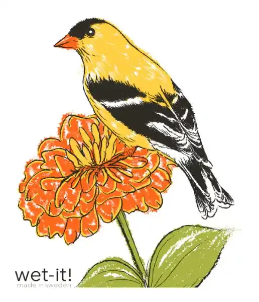 AMERICAN GOLDFINCH SWEDISH CLOTH