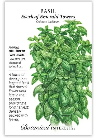 BASIL EVERLEAF EMERALD TOWERS Botanical Interests®