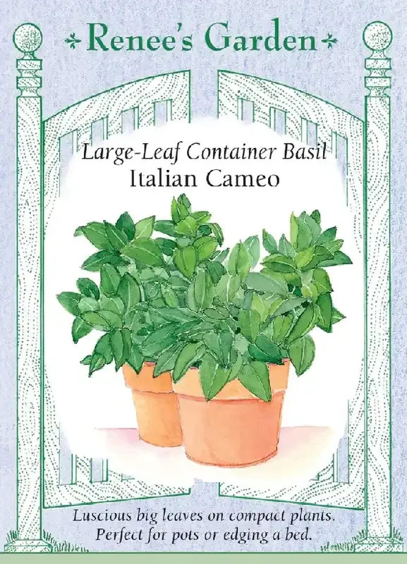 BASIL ITALIAN CAMEO CONTAINER