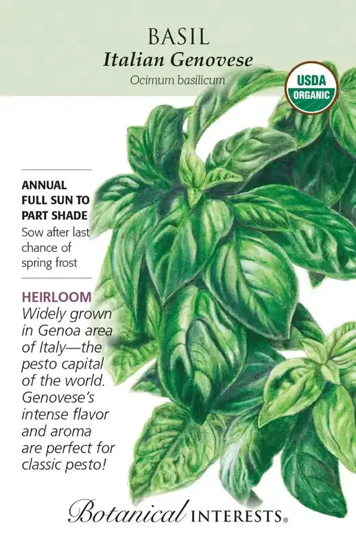 BASIL ITALIAN GENOVESE Botanical Interests®