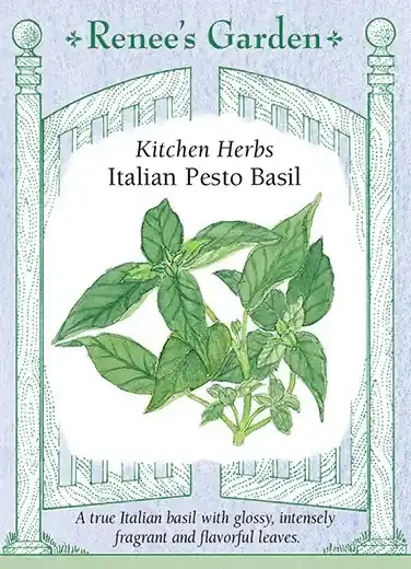 BASIL ITALIAN PESTO