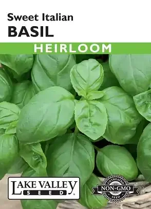 BASIL SWEET ITALIAN