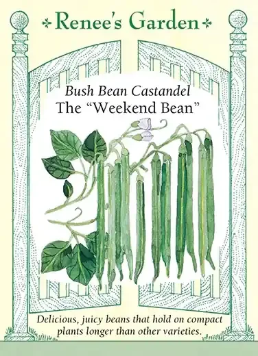 BEAN BUSH CASTANDEL WEEKEND
