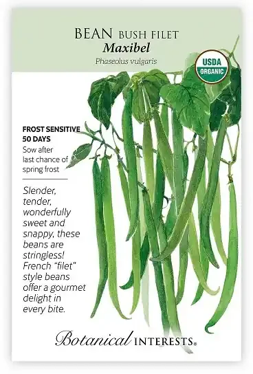 BEAN BUSH MAXIBEL Botanical Interests®