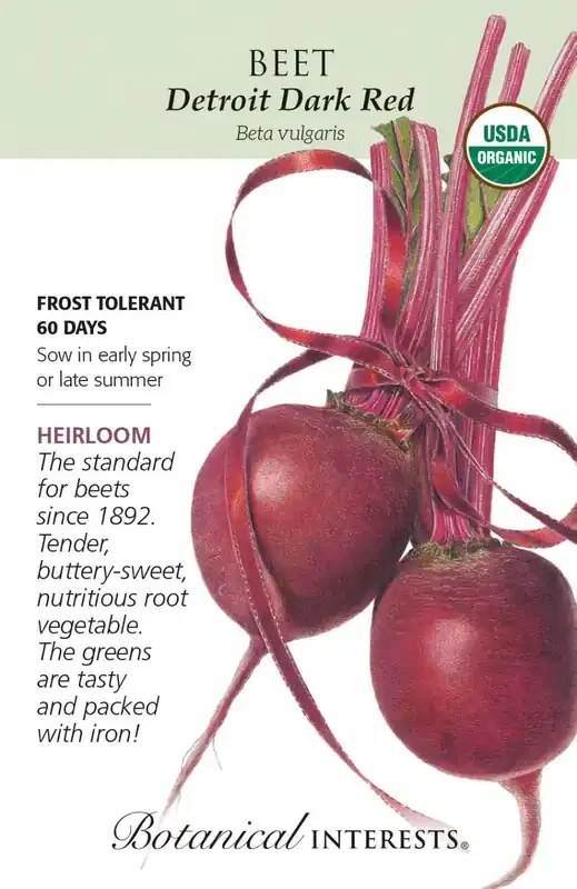 BEET DETROIT DARK RED Botanical Interests®