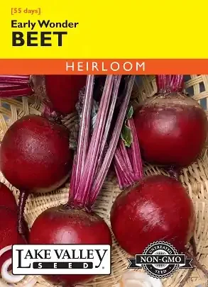 BEET EARLY WONDER