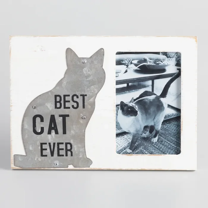 Best Cat Ever Frame