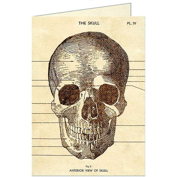 Blank card – Skull