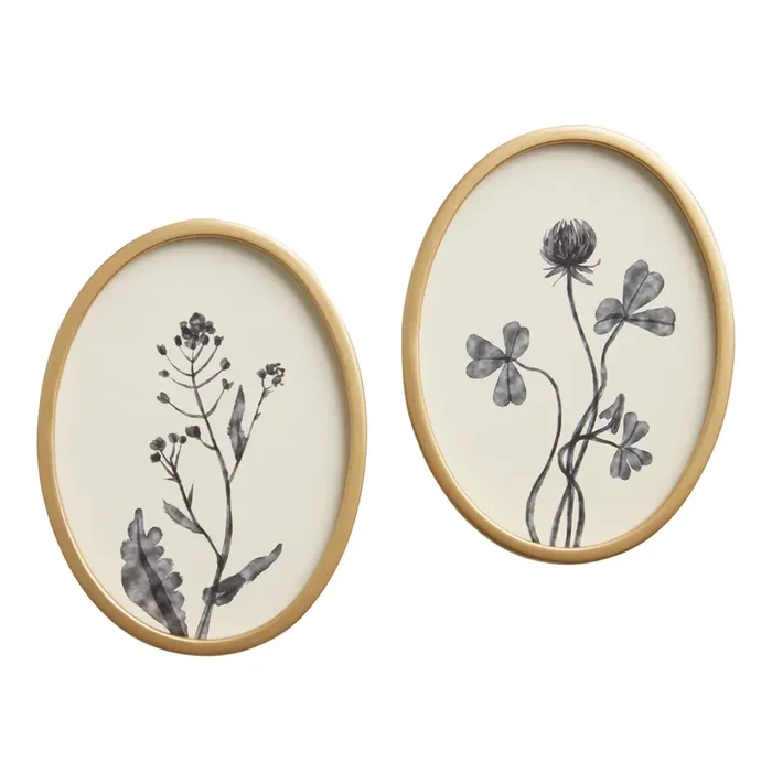 Blue Oval Botanicals by Dan Hobday Framed Wall Art 2 Piece