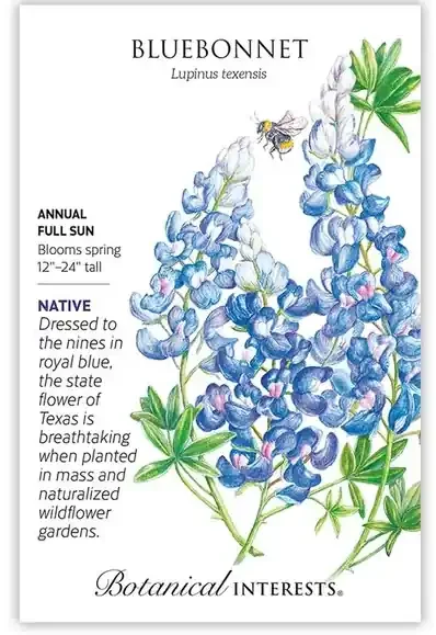 BLUEBONNET Botanical Interests®