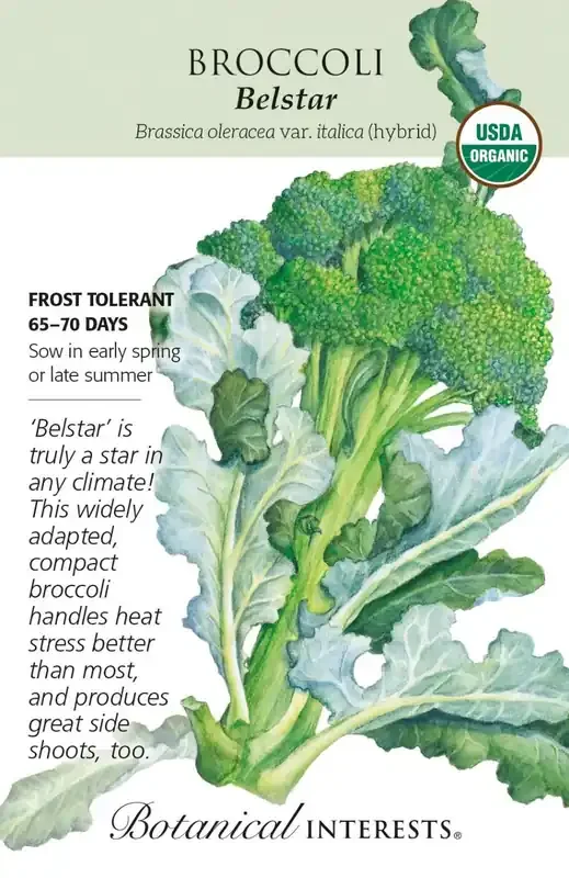 BROCCOLI BELSTAR Botanical Interests®