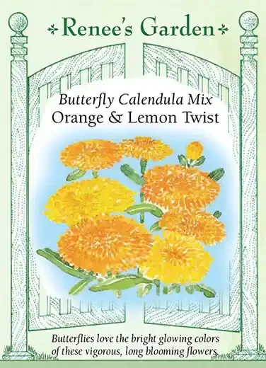 CALENDULA ORANGE & LEMON TWIST
