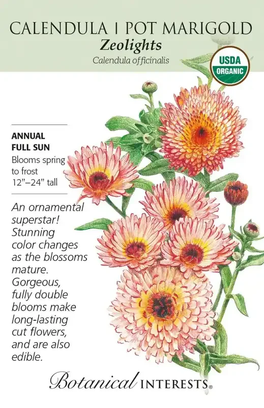 CALENDULA ZEOLIGHTS Botanical Interests®