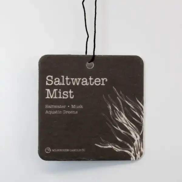 CAR FRESHENER SALTWATER MIST