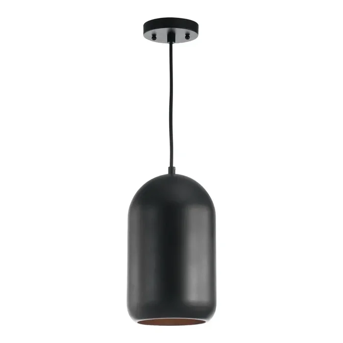 Carisir Black Metal Dome Pendant Lamp