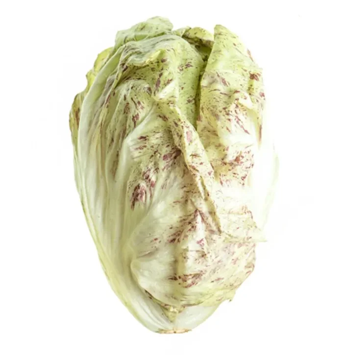 Castlefranco Radicchio