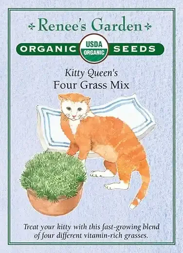 CAT GRASS KITTY QUEEN MIX ORGANIC