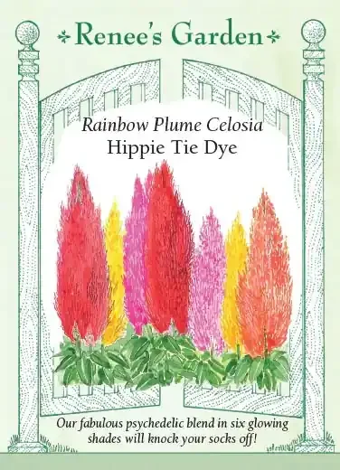 CELOSIA HIPPIE TIE DYE MIX