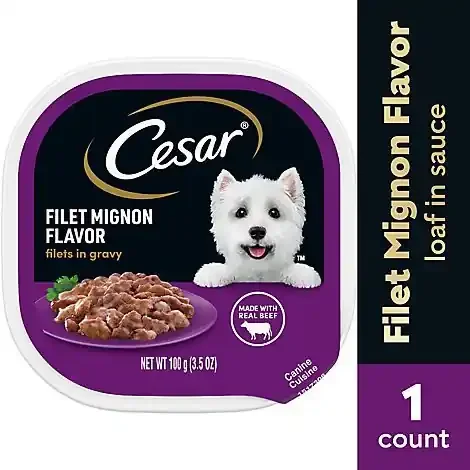 Cesar Filets In Gravy Filet Mignon Adult Wet Dog Food – 3.5 Oz