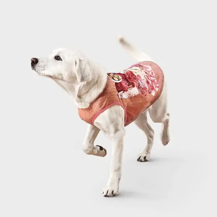 Charcuterie Dog T-Shirt – Boots & Barkley™ L