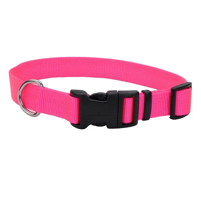 Coastal Adjustable Dog Collar with Plastic Buckle, Neon Pink, Medium – 3/4″ x 14″-20″