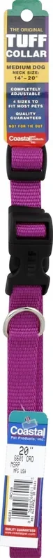 Coastal Adjustable Dog Collar with Plastic Buckle, Orchid, Medium – 3/4″ x 14″-20″