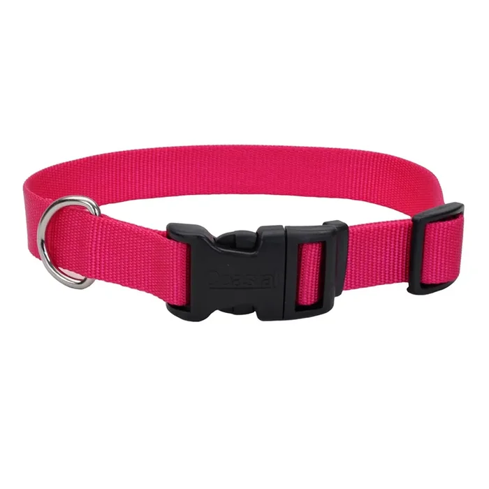 Coastal Adjustable Dog Collar with Plastic Buckle, Pink Flamingo, Medium – 3/4″ x 14″-20″