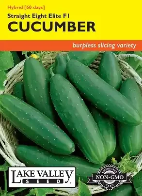 CUCUMBER STRAIGHT EIGHT ELITE HYBRID