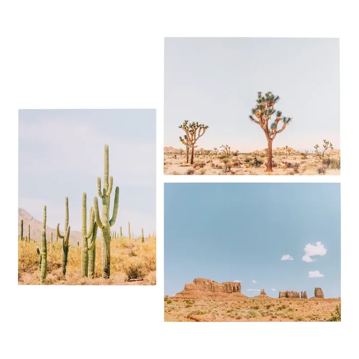 Desert By Arielle Vey Photographic Wall Art Prints 3 Piece