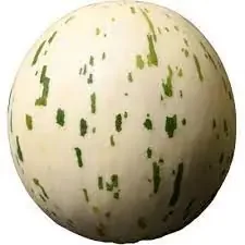 Dino Melon