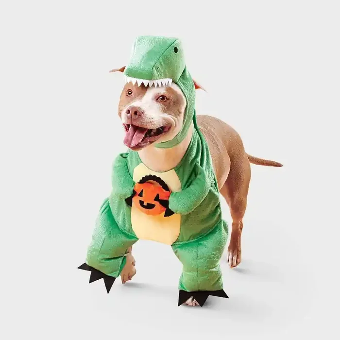 Dino with Pumpkin T-Rex Pail Dog Frontal Costume – Boots & Barkley™ Light Green M