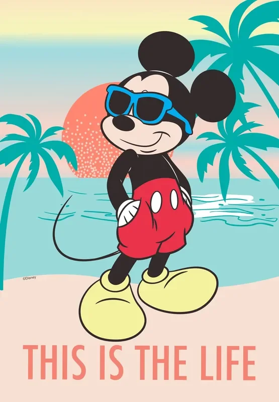 Disney 1.04-ft W x 1.5-ft H Summer Garden flag Kit