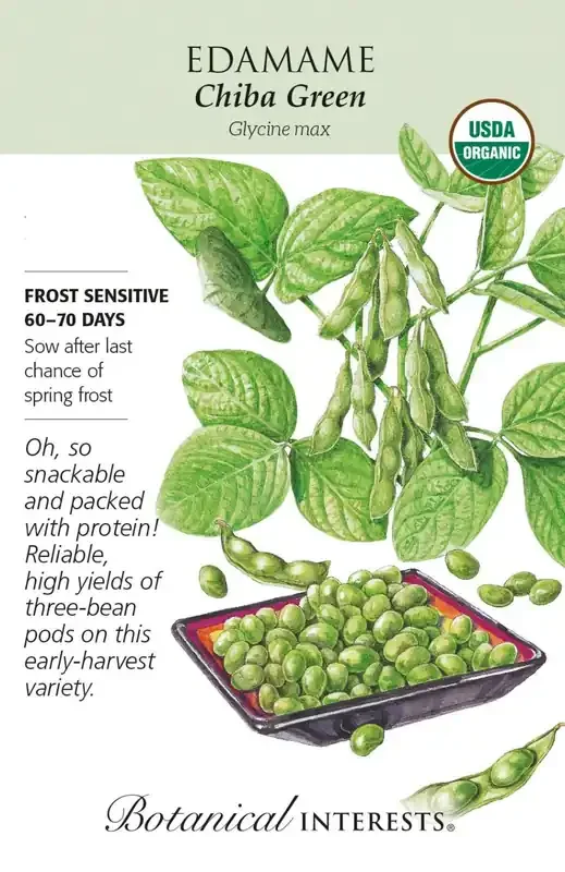 EDAMAME CHIBA GREEN Botanical Interests®