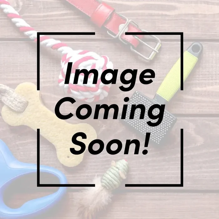 Essential Everyday Cat Food Salmon