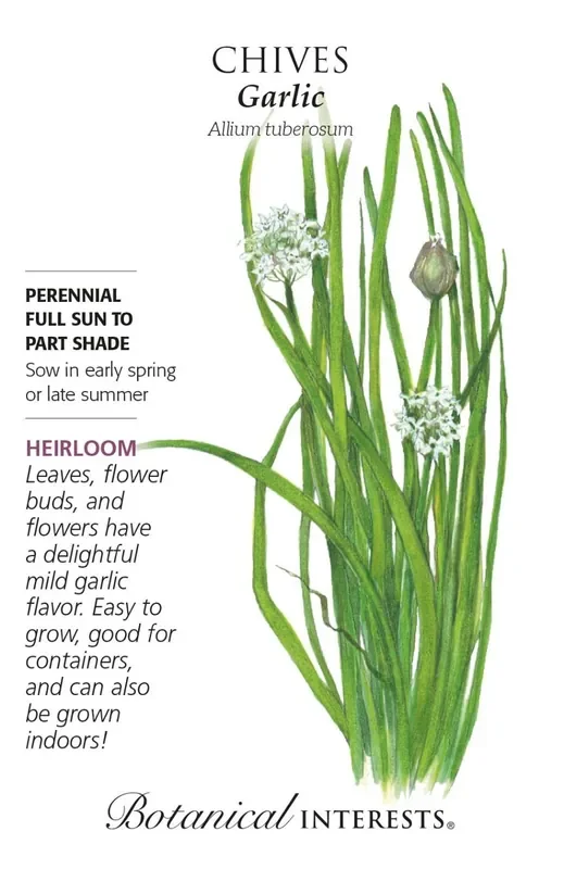 GARLIC CHIVES Botanical Interests®