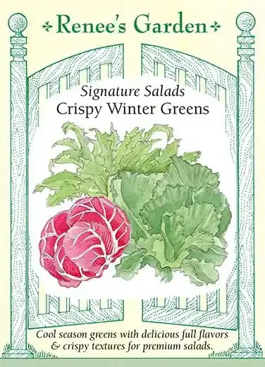 GREENS CRISPY WINTER SALAD