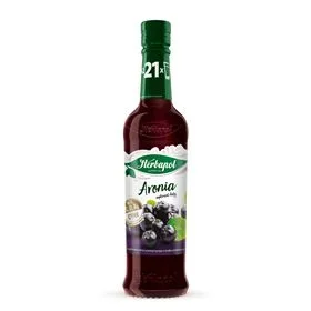 HERBAPOL NAHRUNGSERGÄNZUNGSMITTEL ARONIUMSIRUP 420 ML 8 STK