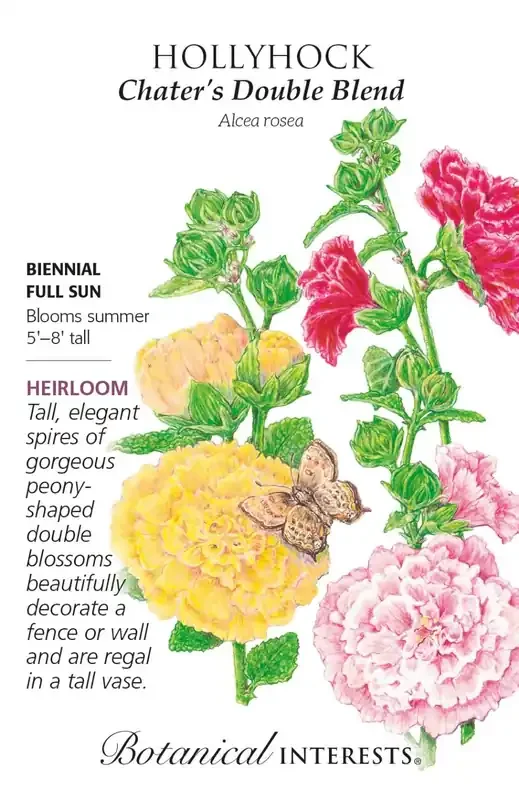 HOLLYHOCK CHATER’S DOUBLE BLENDBotanical Interest®