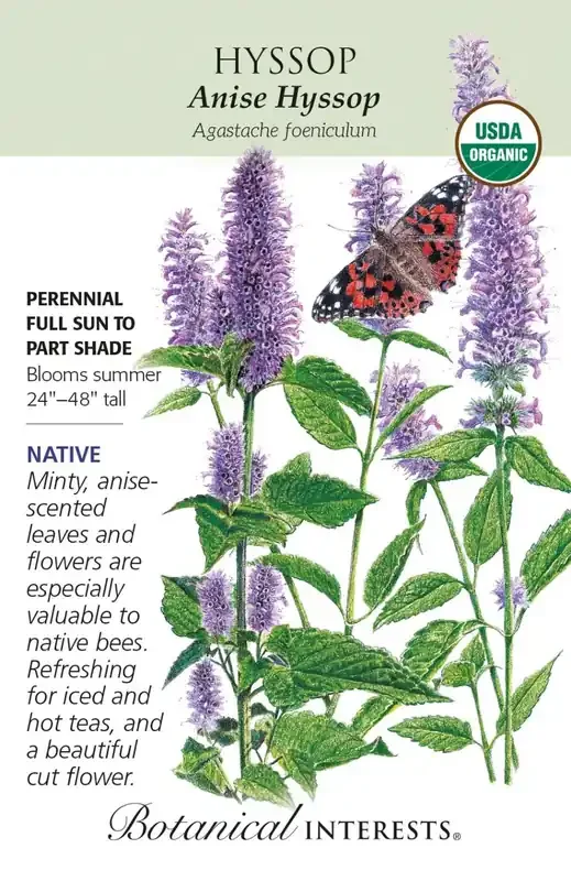 HYSSOP ANISE organic Botanical Interests®