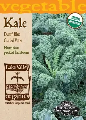 KALE DWARF BLUE VATES CURLED