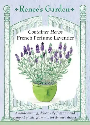 LAVENDER FRENCH PERFUME CONTAINER