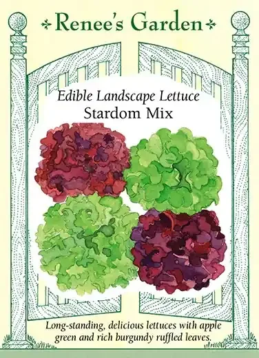 LETTUCE STARDOM MIX