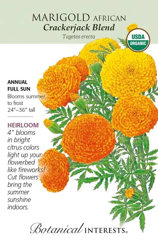 MARIGOLD AFRICAN CRACKERJACK Botanical Interests®