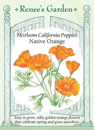 POPPY CALIFORNIA NATIVE ORANGE
