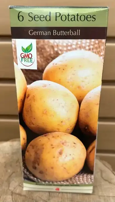 SEED POTATOES GERMAN BUTTERBALL- QUANTITY 6