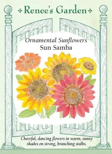 SUNFLOWER SUN SAMBA MIX