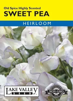 SWEET PEA OLD SPICE HIGHLY SCENTED