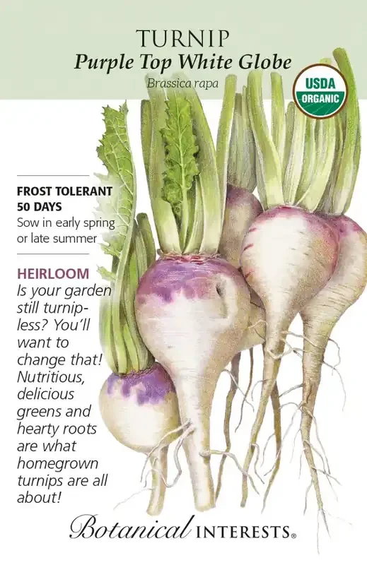 TURNIP PURPLE TOP WHITE GLOBE Botanical Interests®