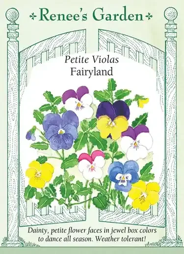 VIOLA FAIRYLAND
